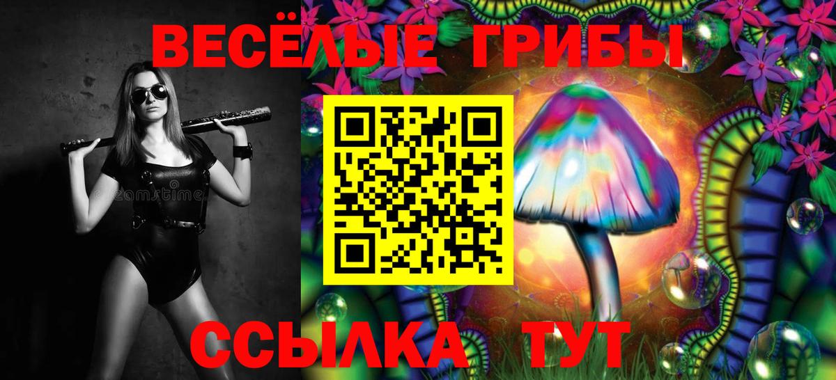 Псилоцибиновые грибы Psilocybine cubensis  Вход с VPN  Назарово 