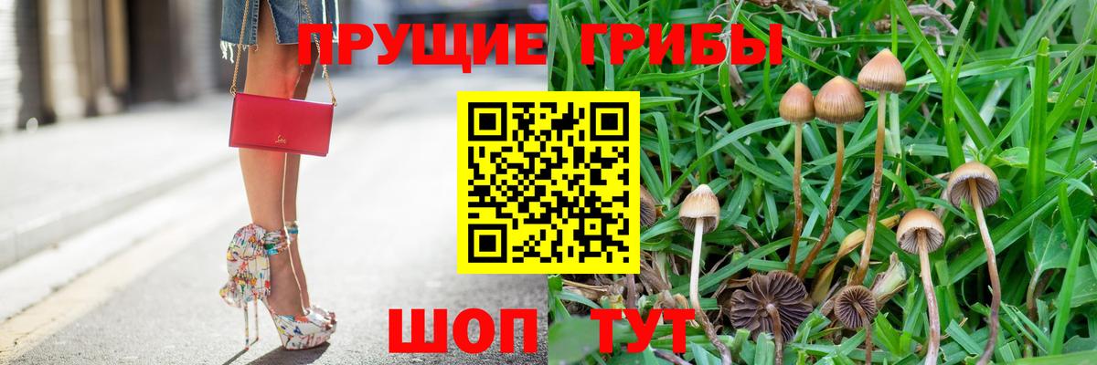 Галлюциногенные грибы прущие грибы Назарово